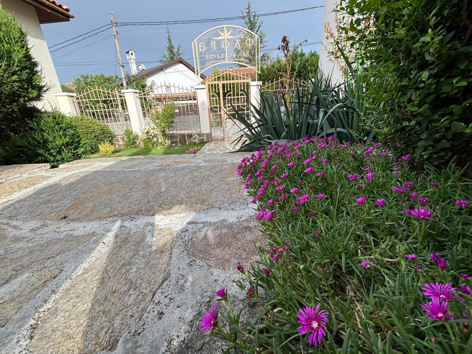 Вила Флора Паталеница Exteriér fotografie